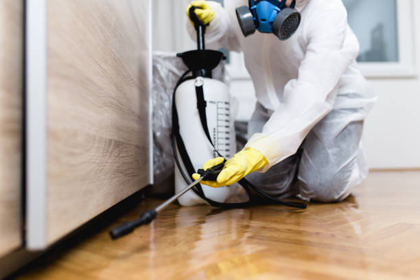 Best Affordable Pest Control Services  in Scottdale, PA