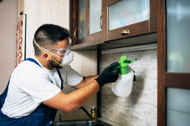 Best Residential Pest Control  in Scottdale, PA