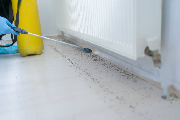 Pest Control Cost in Scottdale, PA