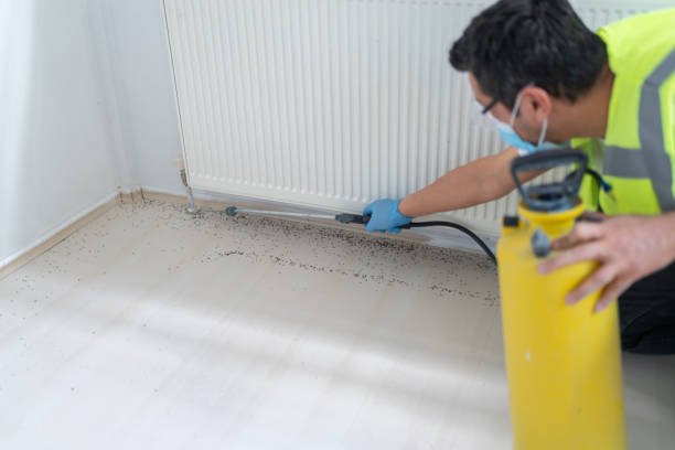 Best Bed Bug Extermination  in Scottdale, PA