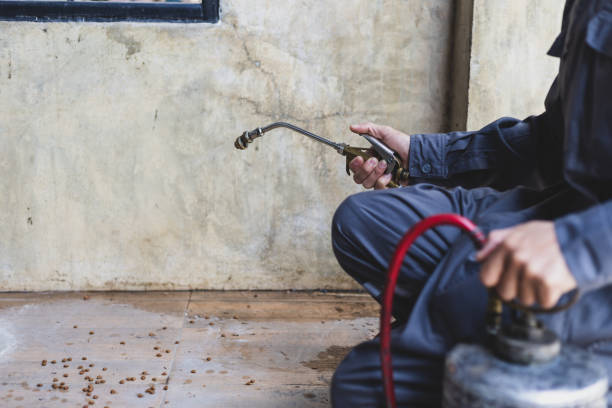 Best Flea Control Services  in Scottdale, PA